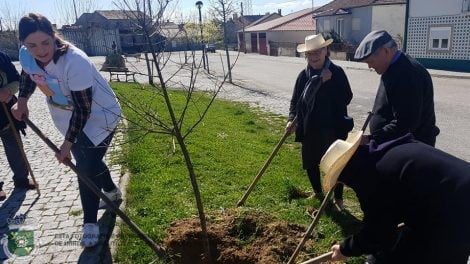 Chegada da Primavera 12