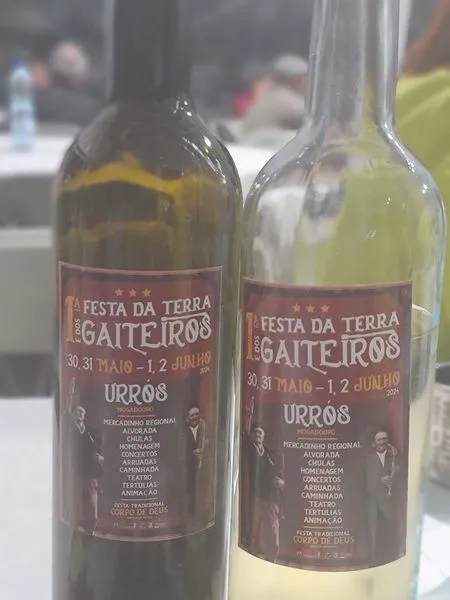 Festa da Terra dos Gaiteiros